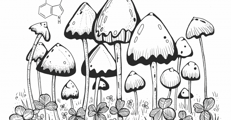 Mushroom art