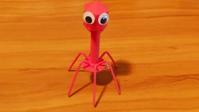 A 3D printed bacteriophage