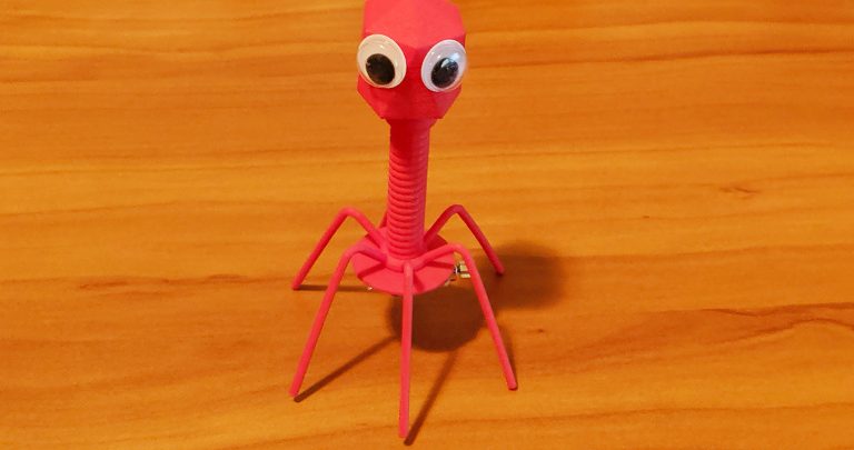 A 3D printed bacteriophage